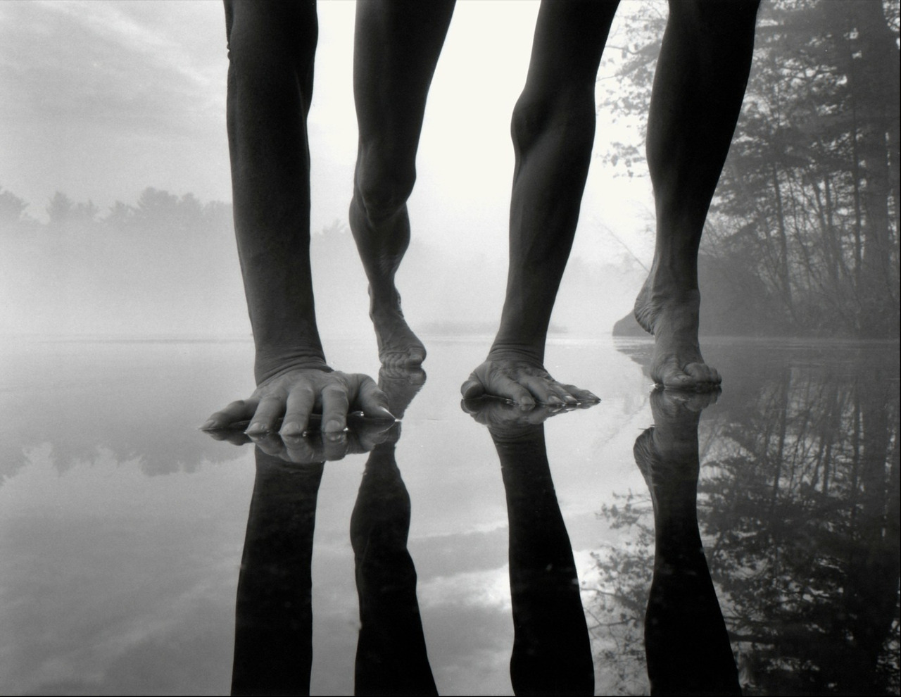 Archillect ID 382325