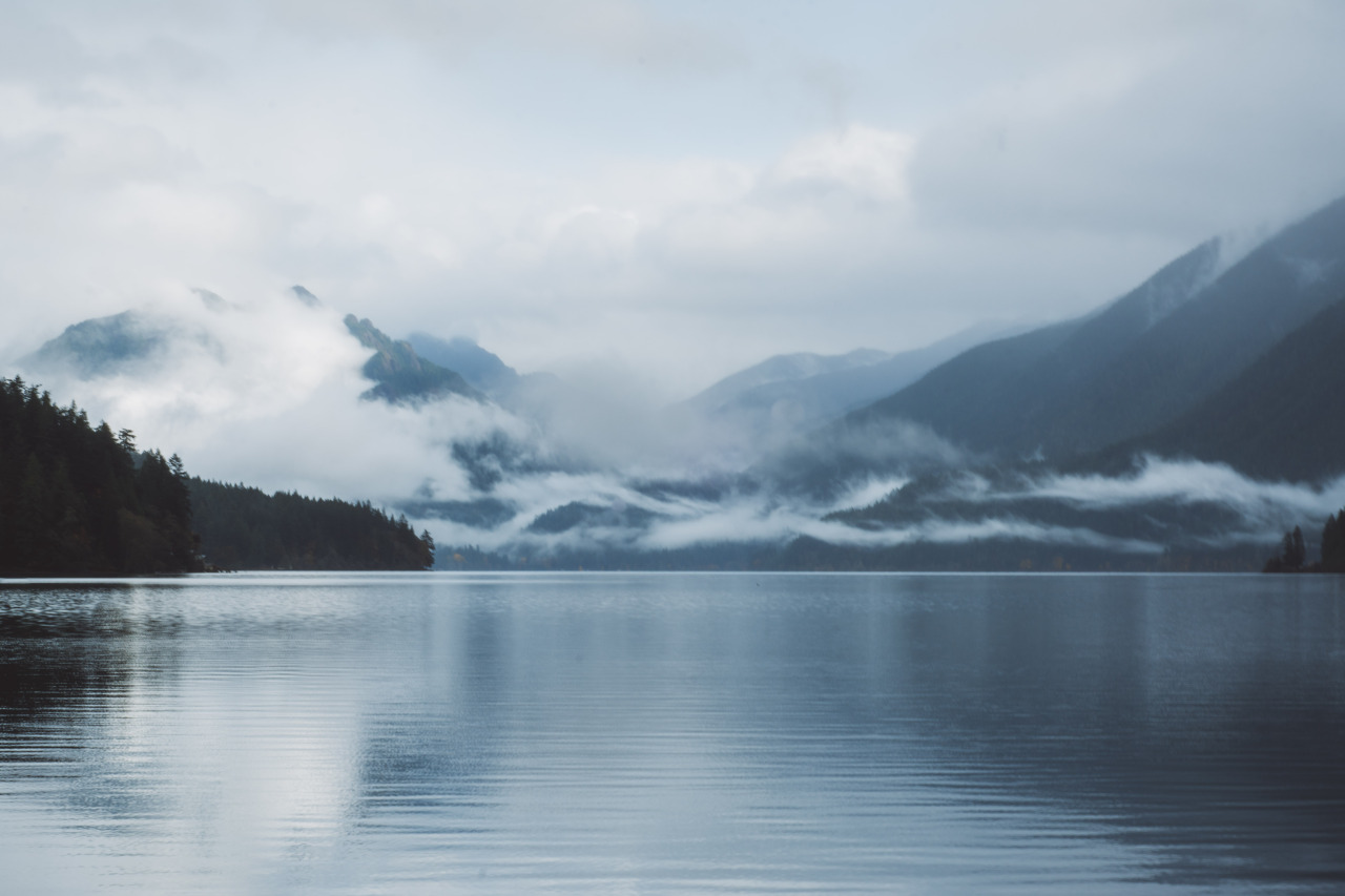 Archillect ID 382352