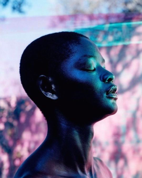 Archillect ID 382441