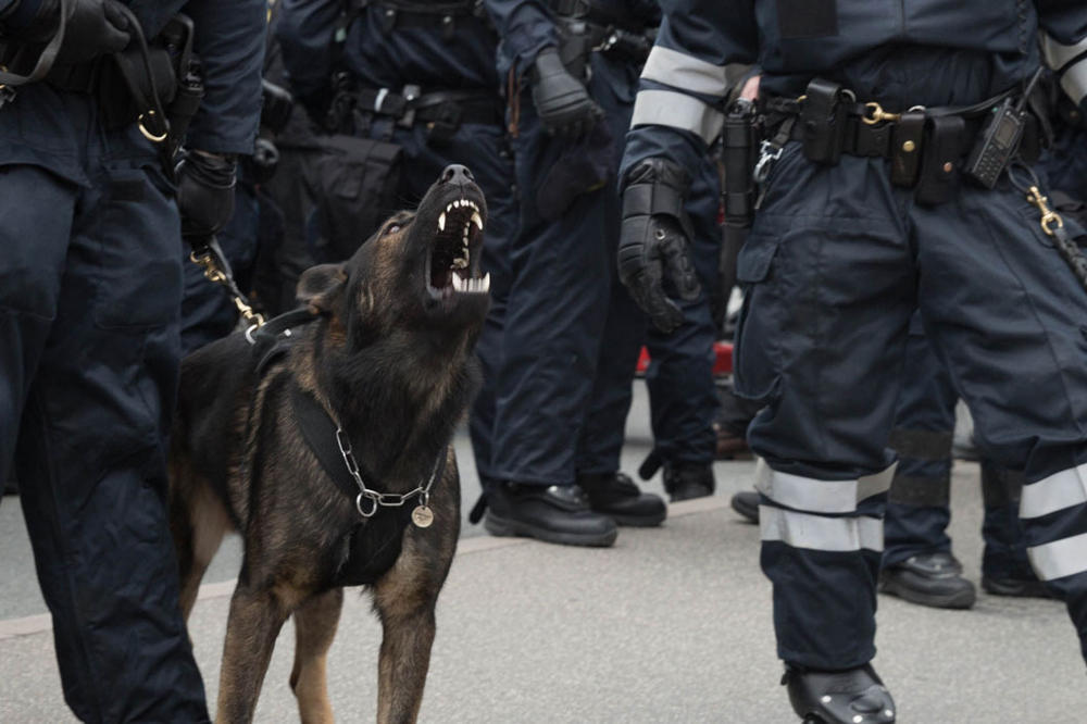 Archillect ID 382448