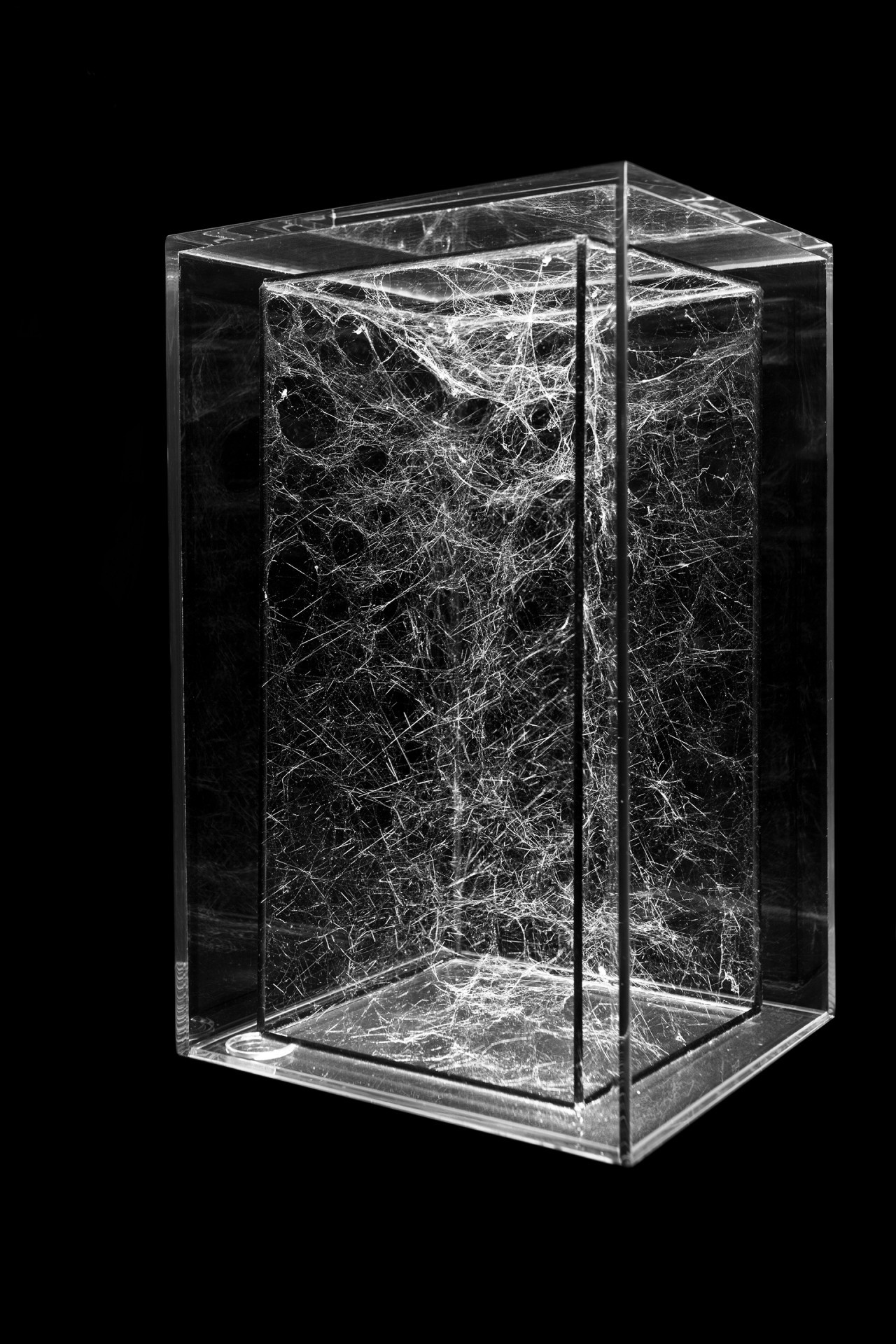 Archillect ID 382475