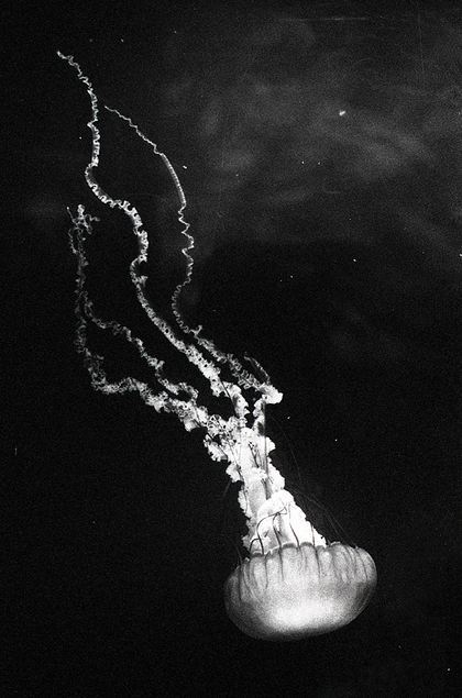 Archillect ID 382504