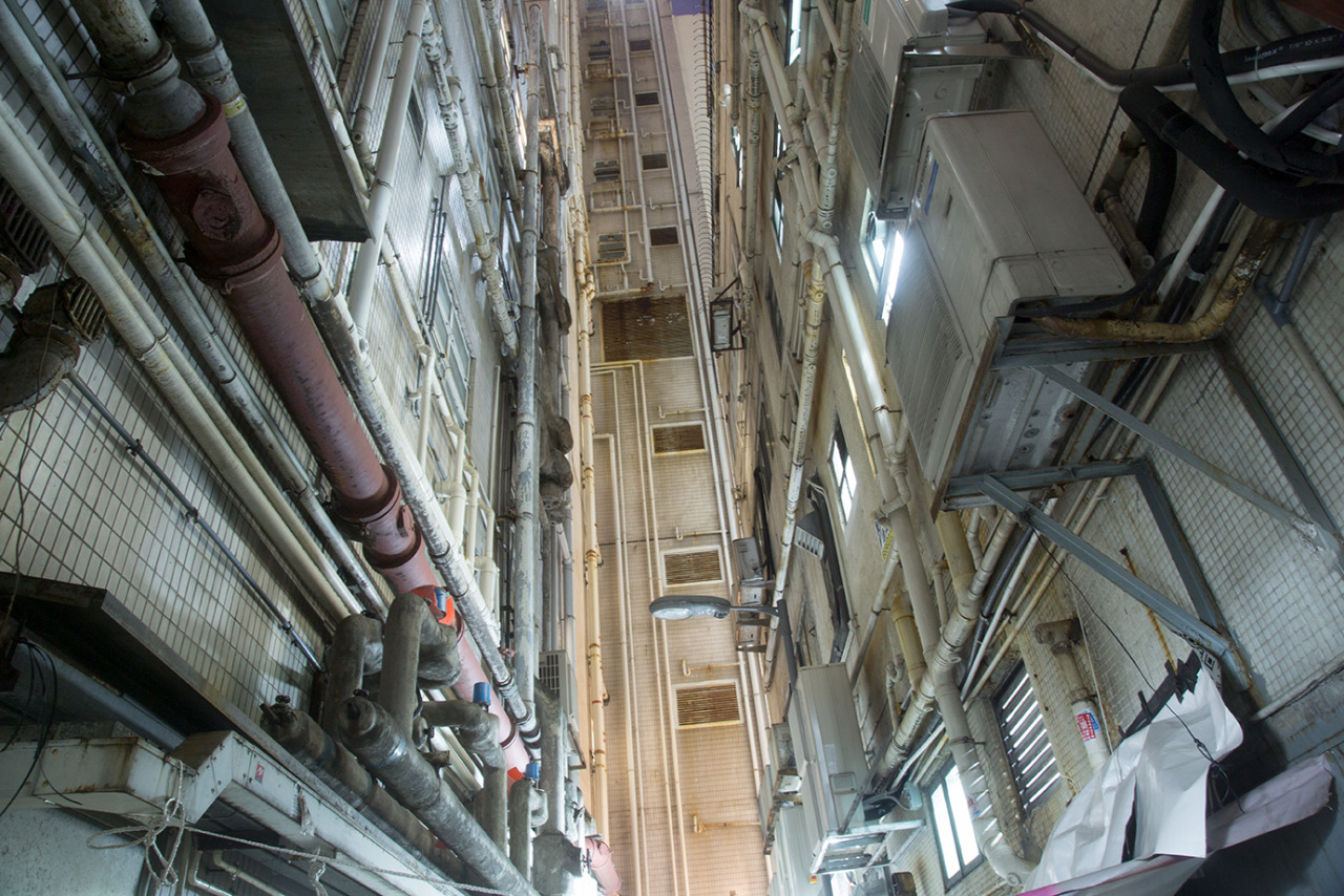 Archillect ID 382547