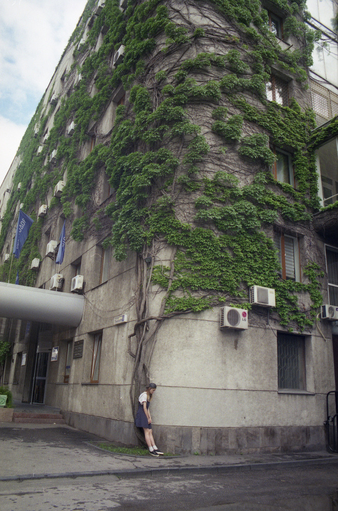 Archillect ID 382553