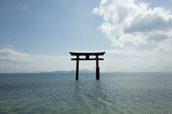 Archillect ID 382562