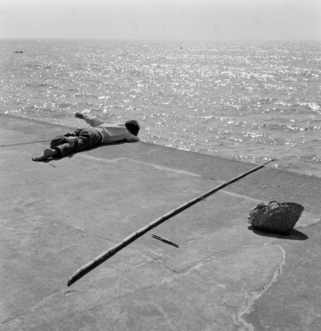 Archillect ID 382569