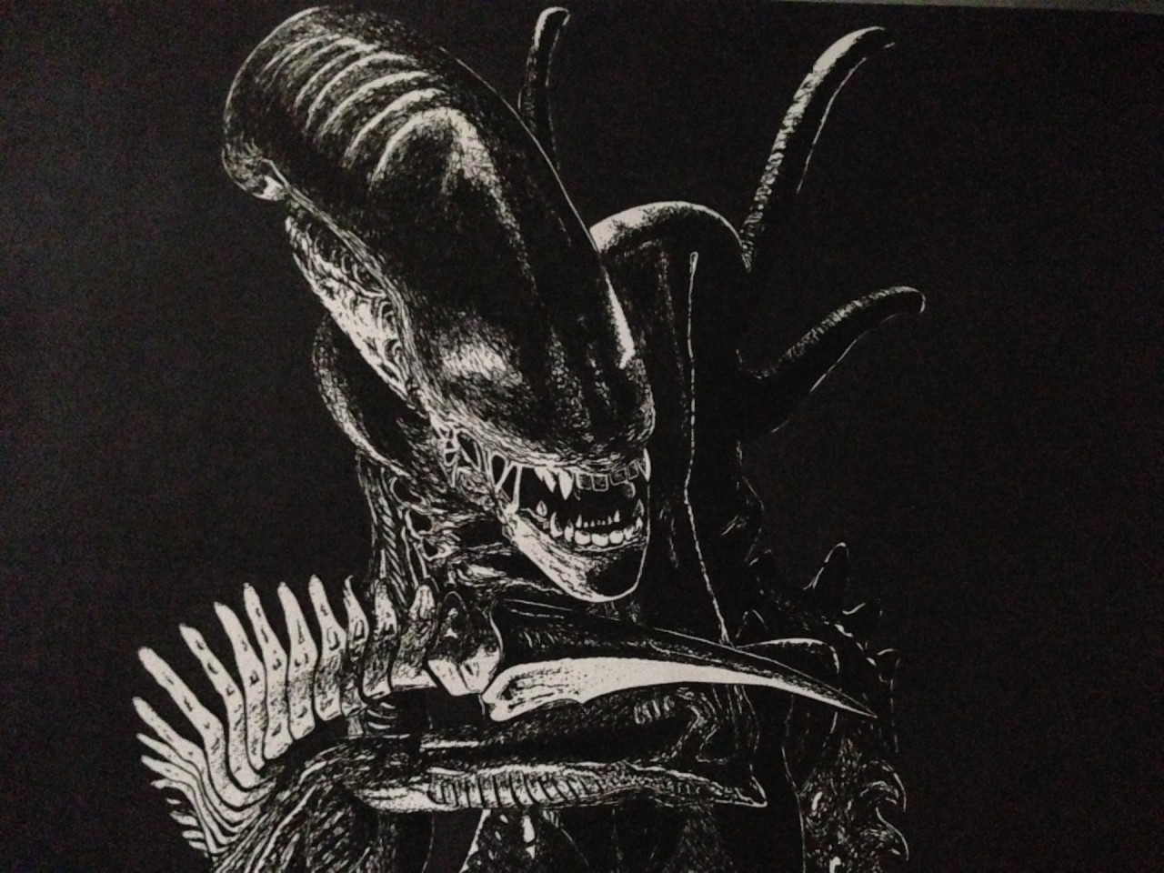 Archillect ID 382571