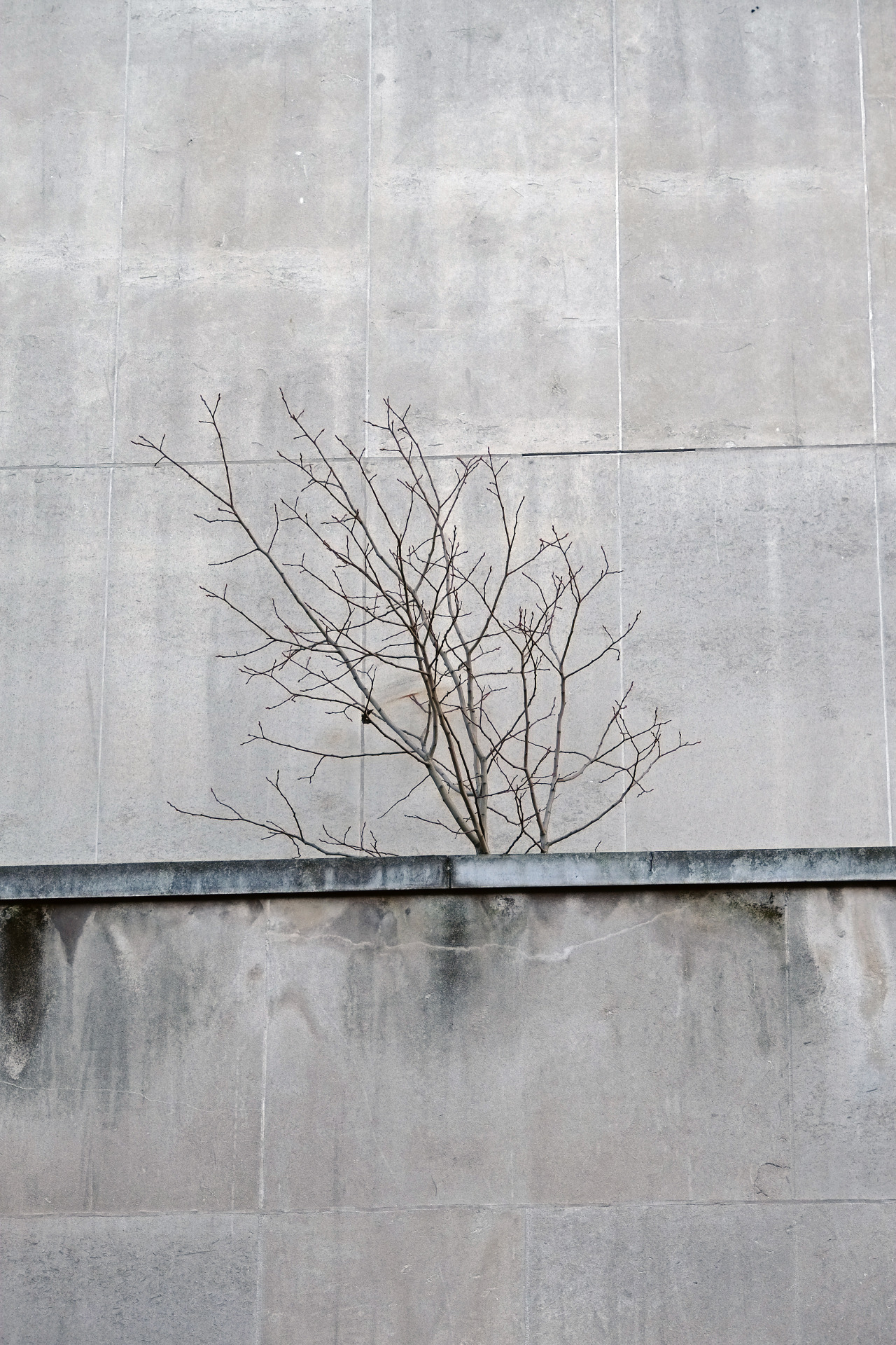 Archillect ID 382643