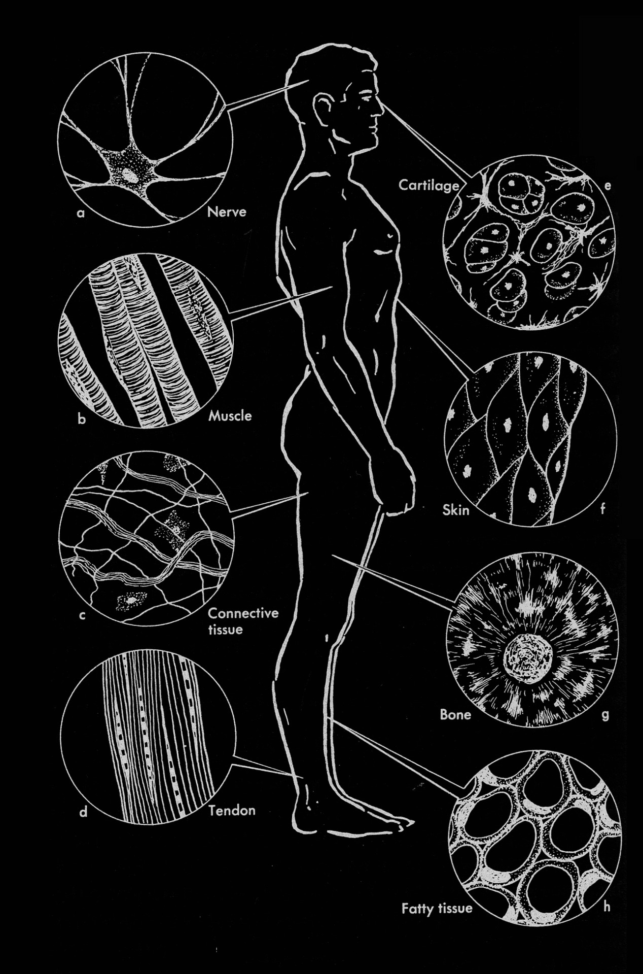 Archillect ID 382747