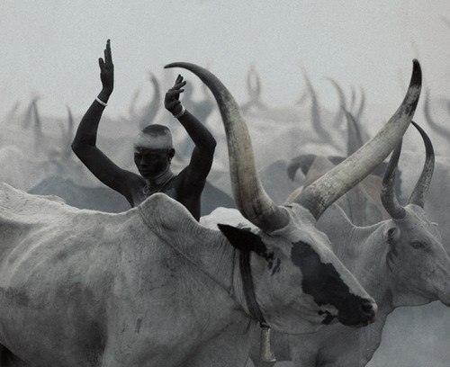 Archillect ID 382748