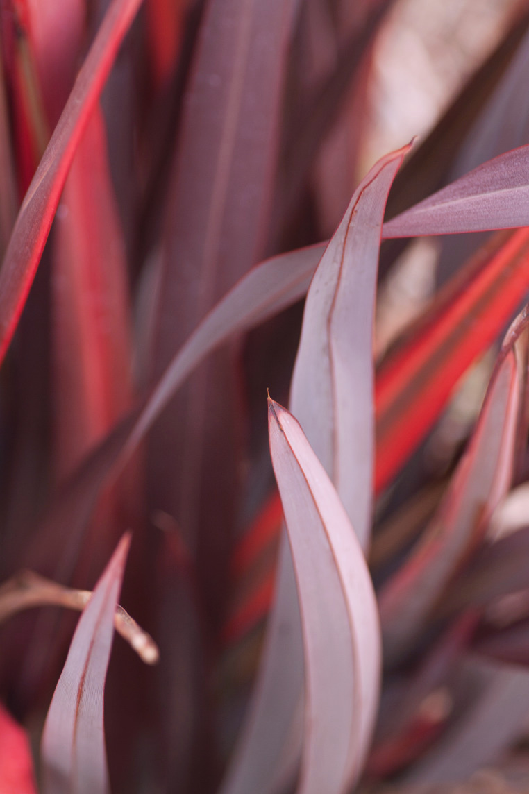 Archillect ID 382773