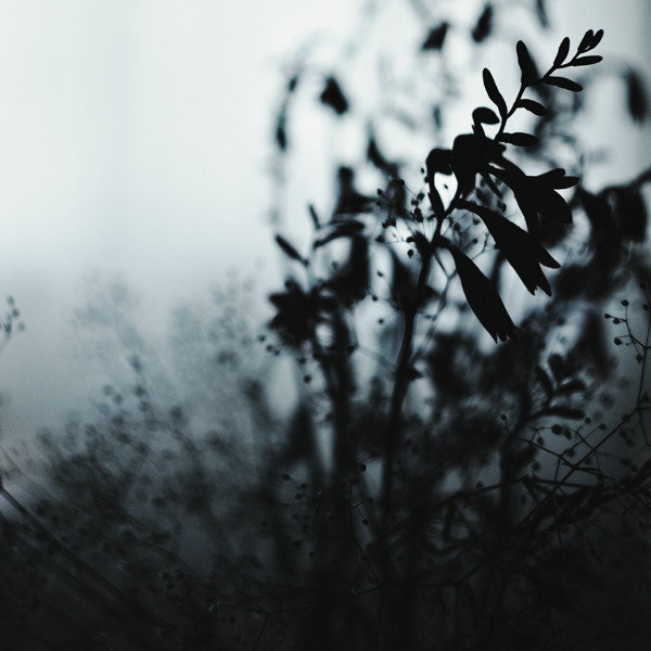 Archillect ID 382874