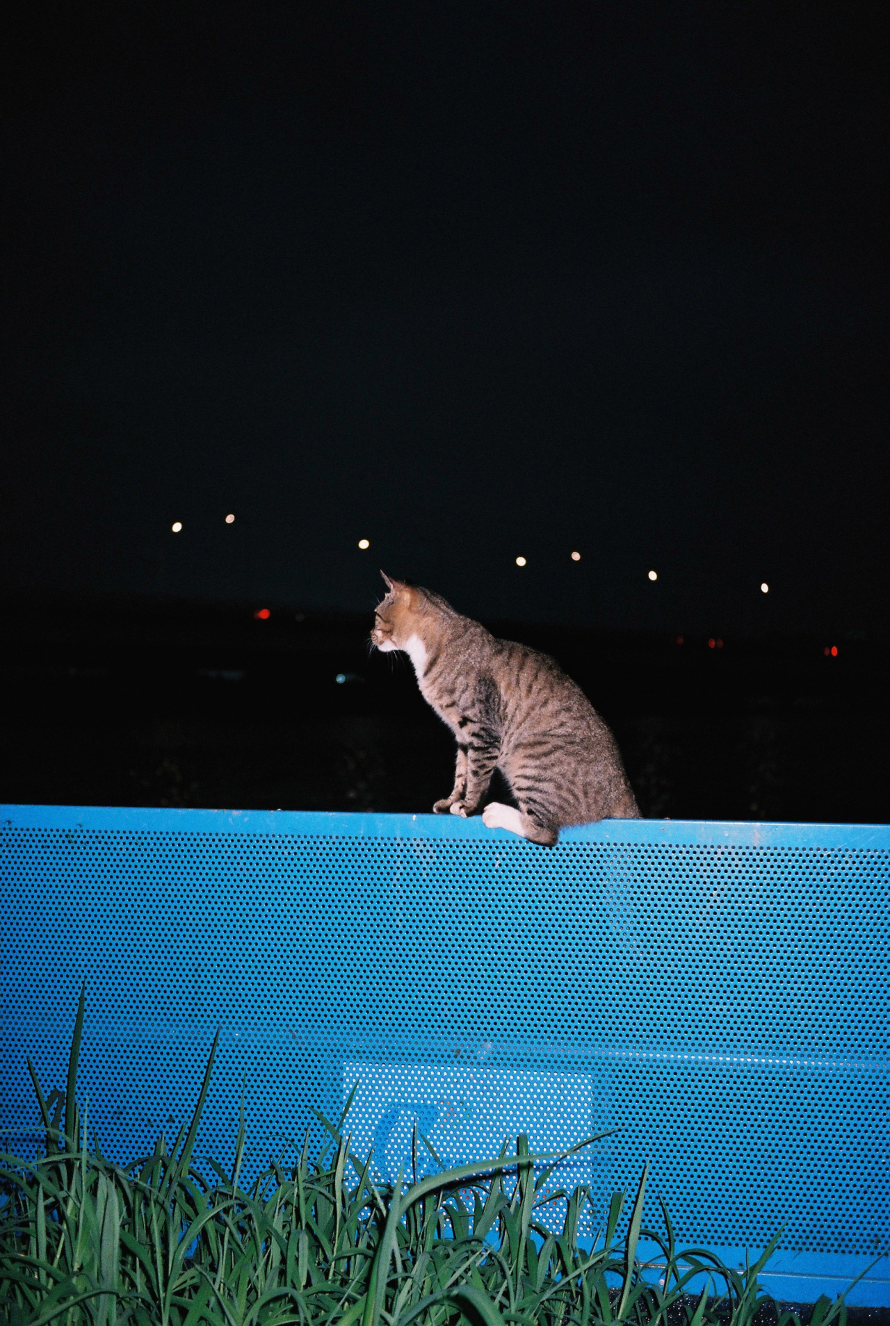 Archillect ID 382877