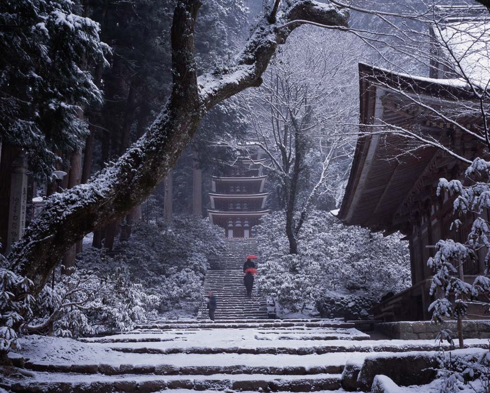 Archillect ID 382930