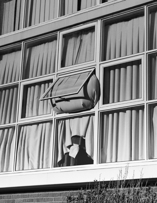 Archillect ID 382941