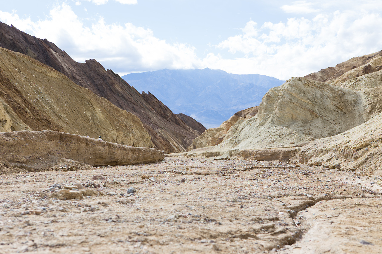 Archillect ID 382968