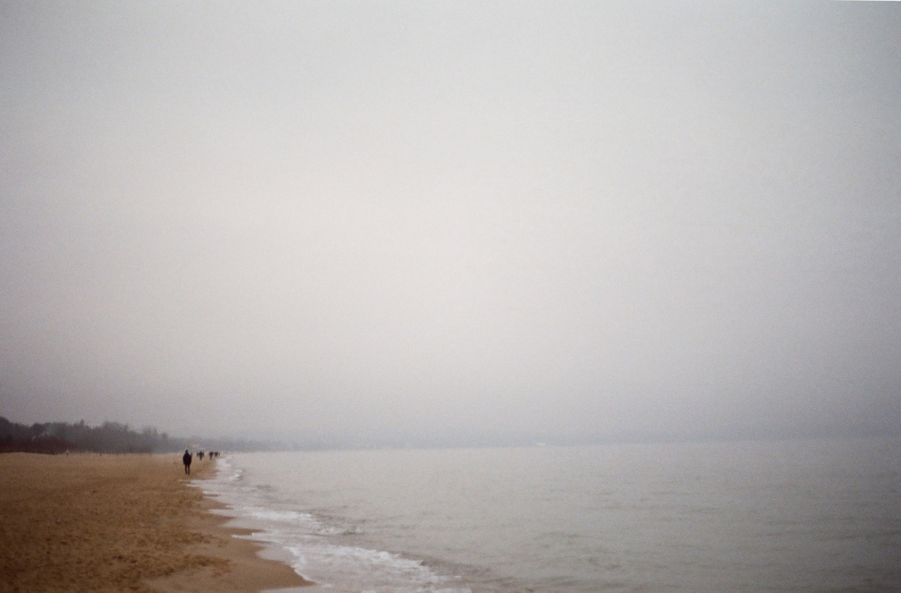 Archillect ID 382981