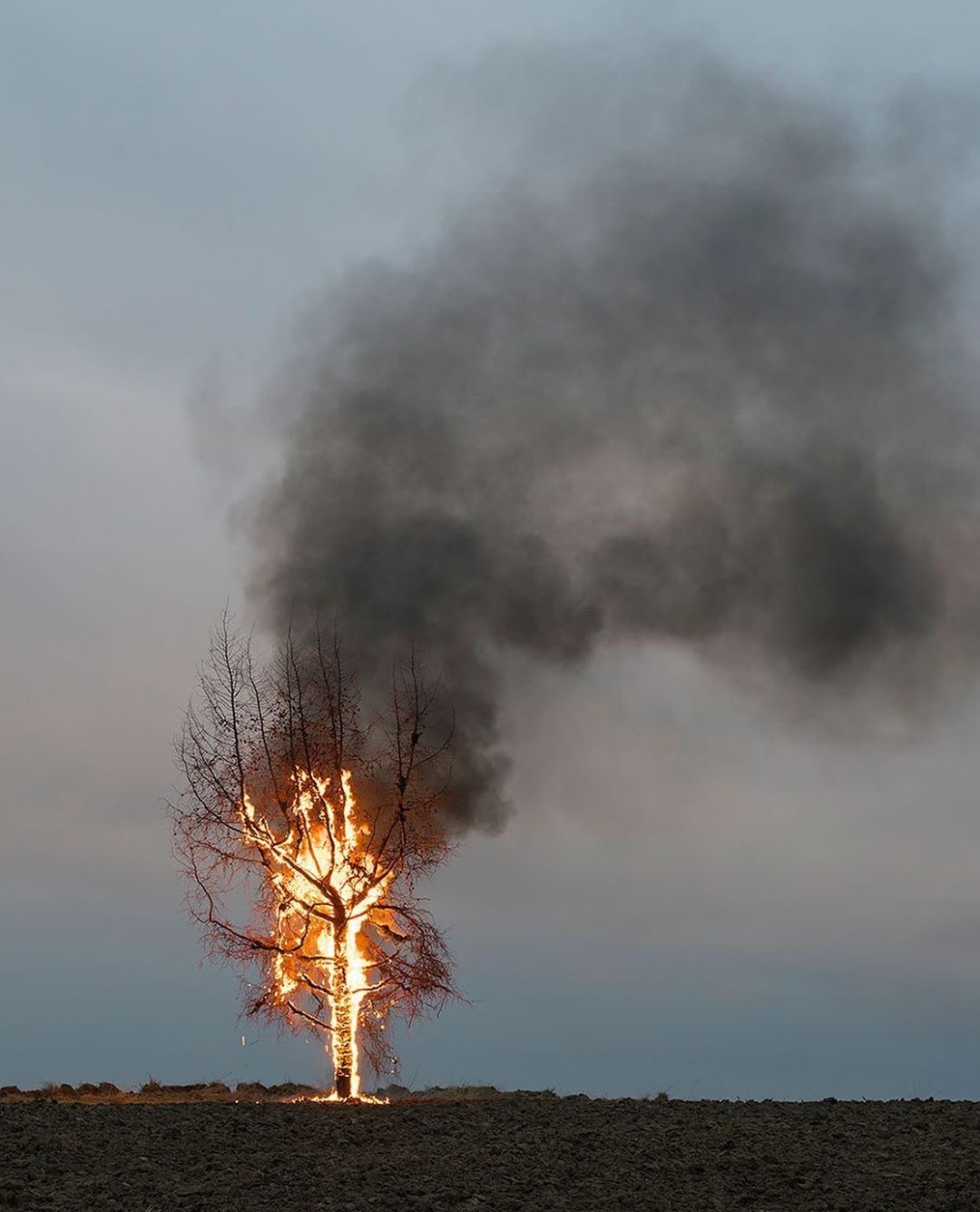 Archillect ID 383025