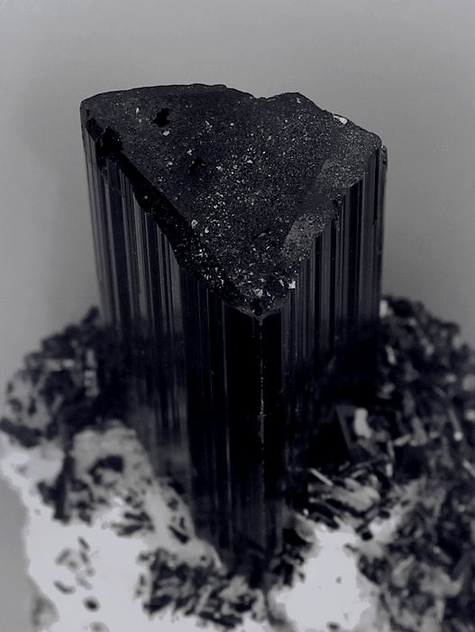 Archillect ID 383028