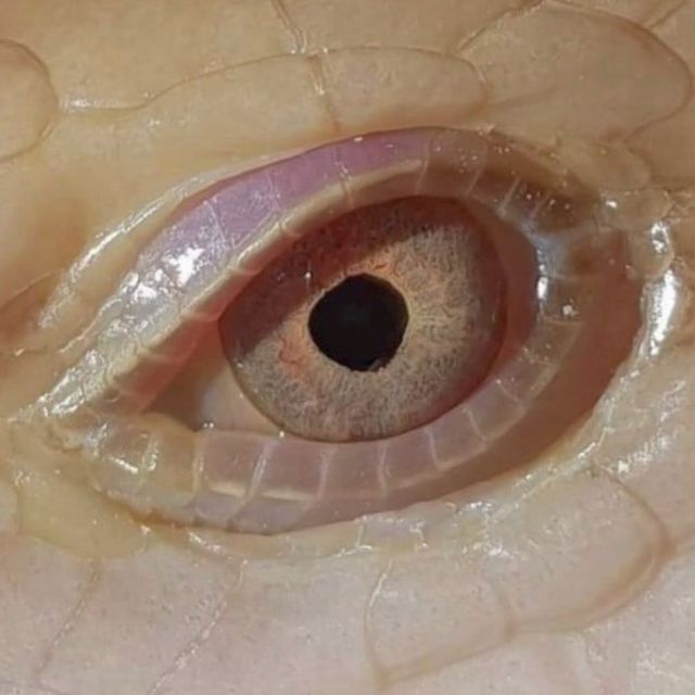 Archillect ID 383038