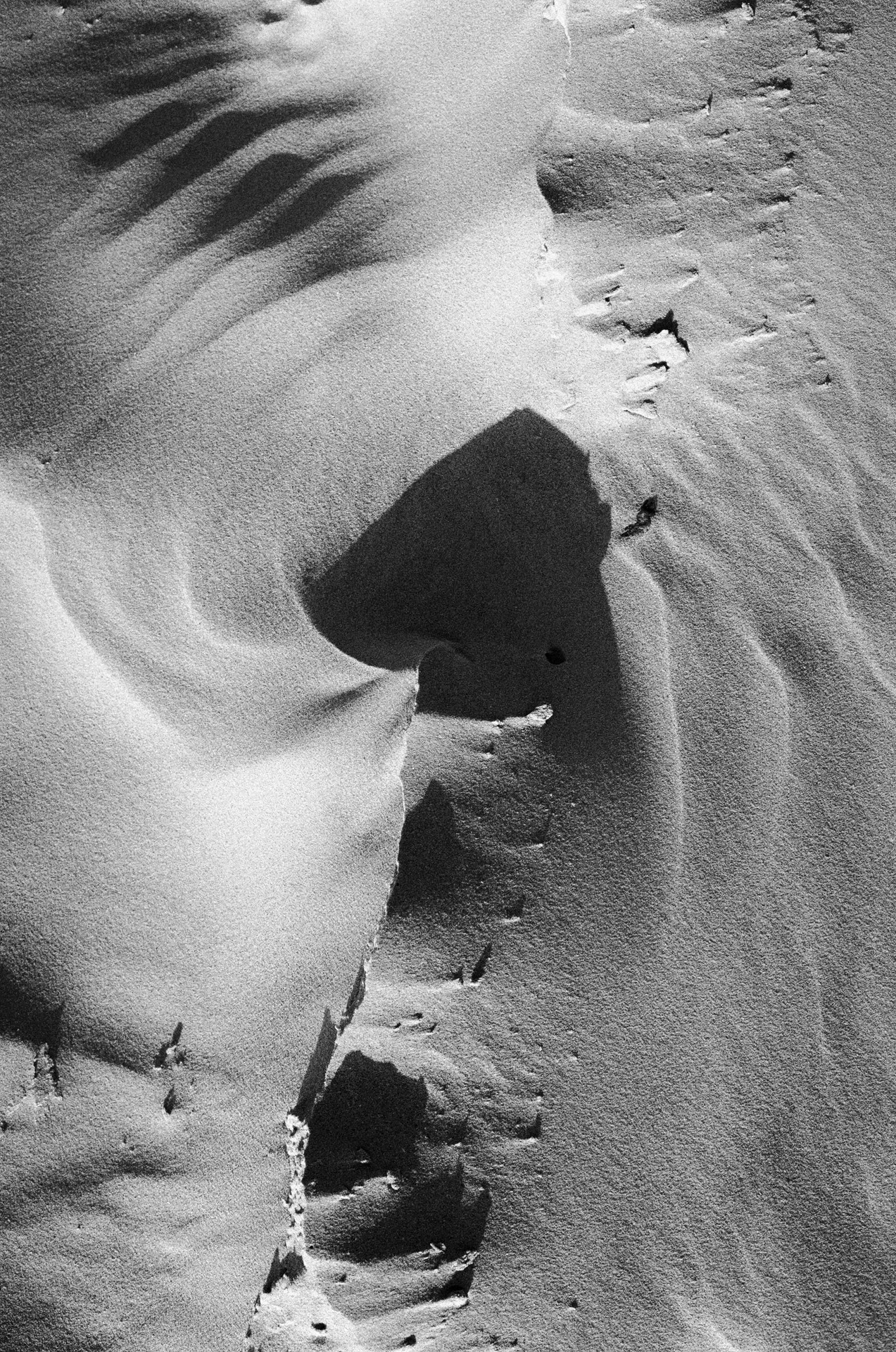 Archillect ID 383057