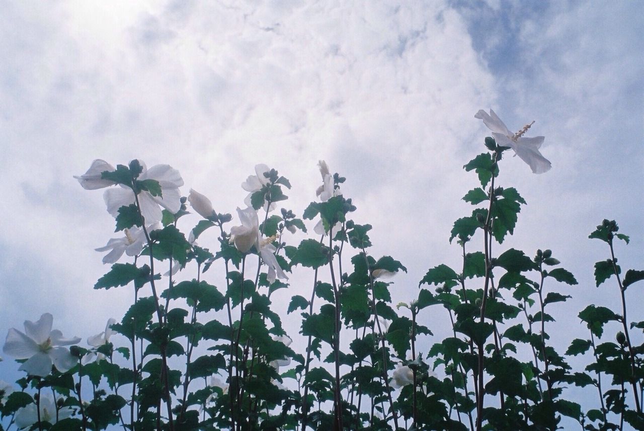 Archillect ID 383060