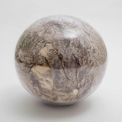 Archillect ID 383063