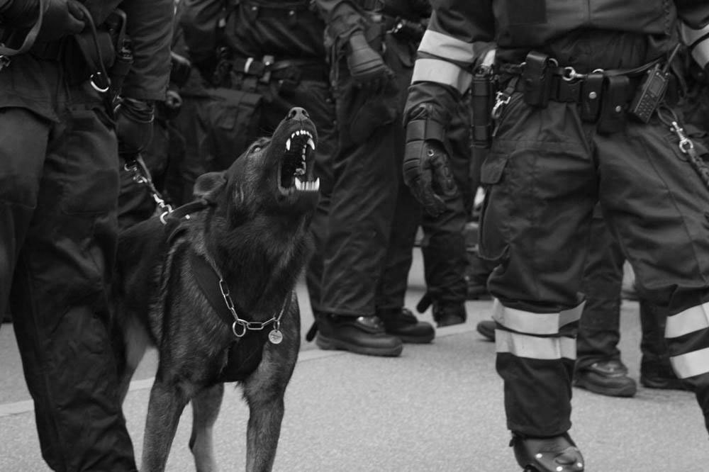 Archillect ID 383133