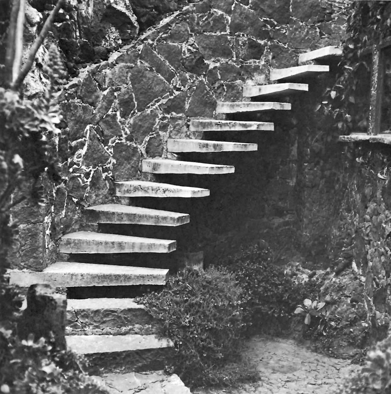 Archillect ID 383149