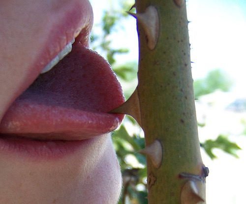 Archillect ID 383222