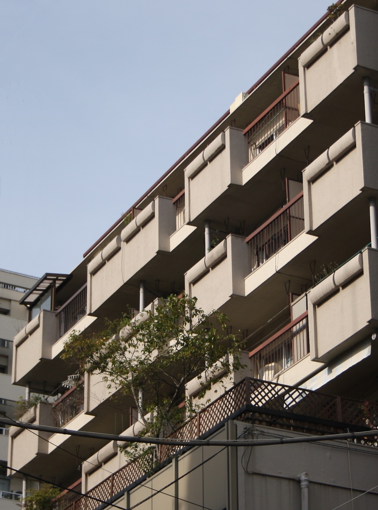 Archillect ID 383234