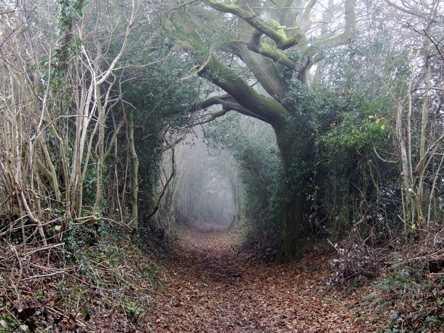 Archillect ID 383246