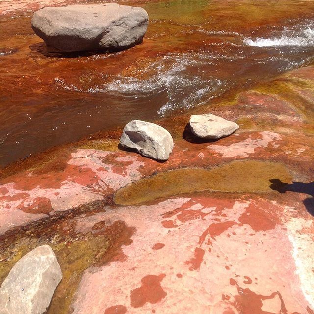 Archillect ID 383267