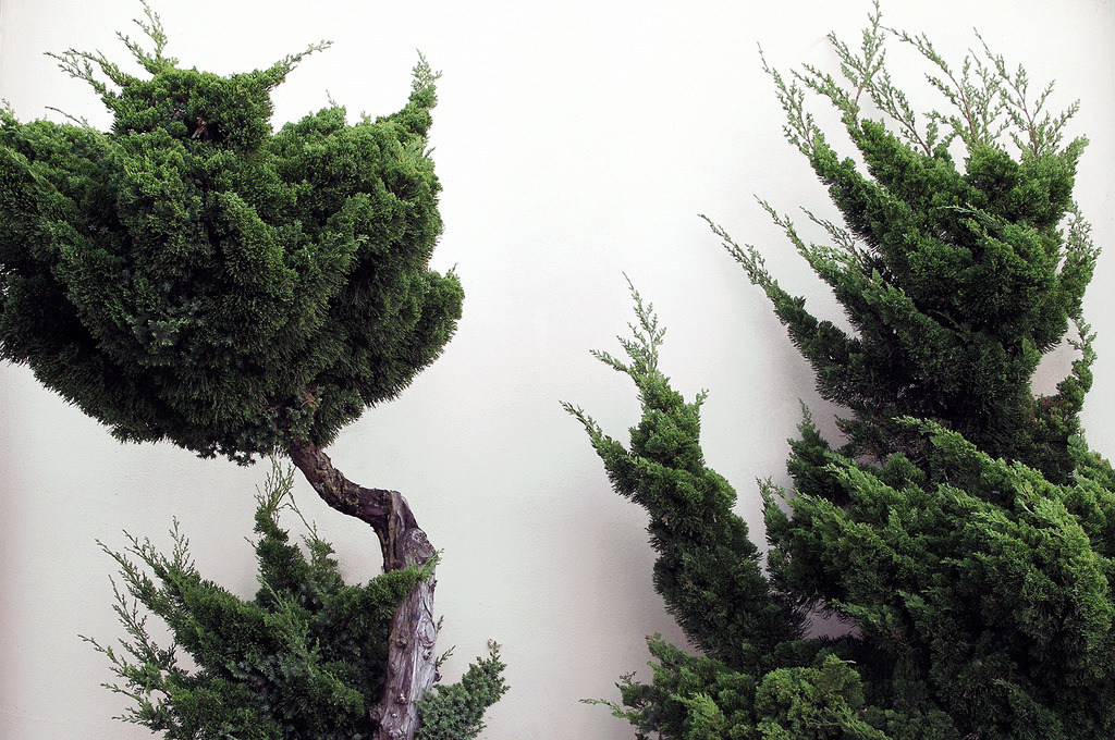 Archillect ID 383344