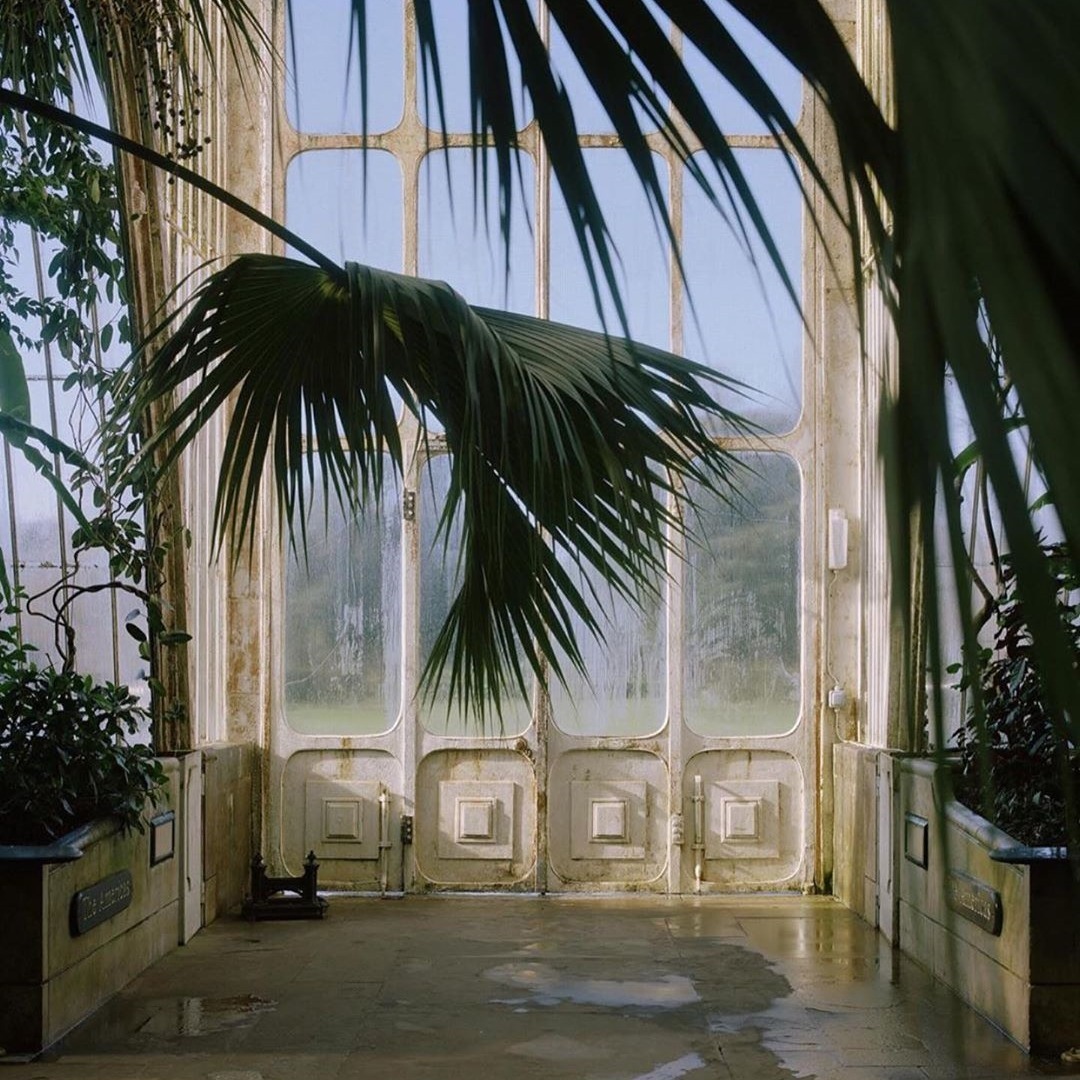 Archillect ID 383369