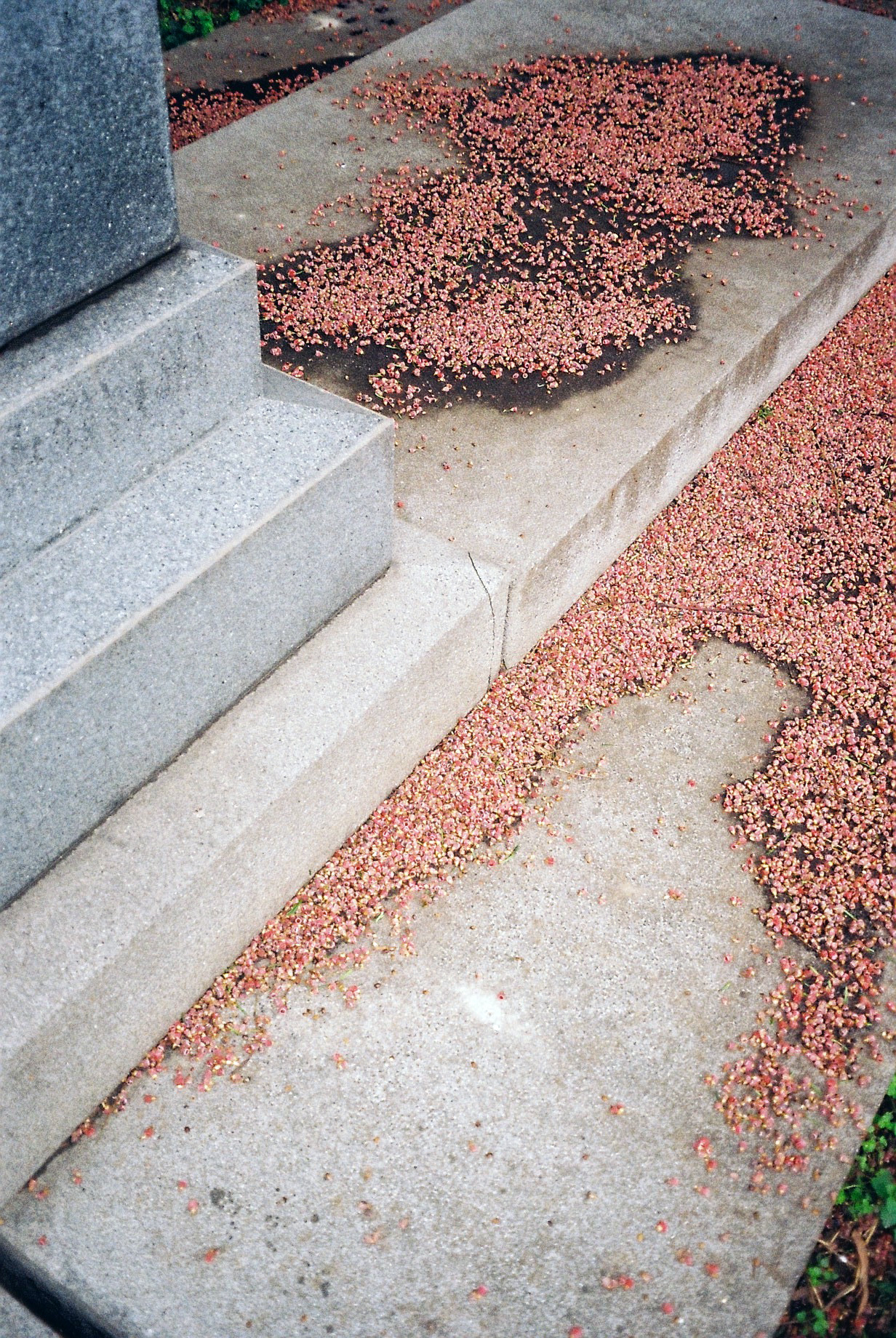 Archillect ID 383387