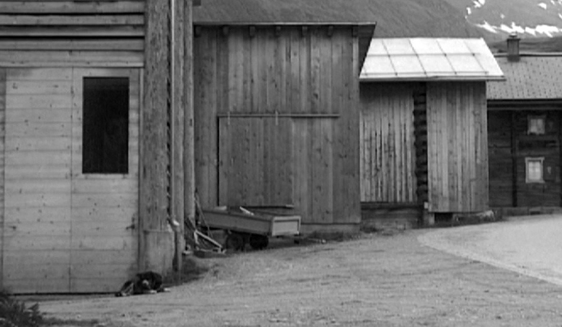 Archillect ID 383405