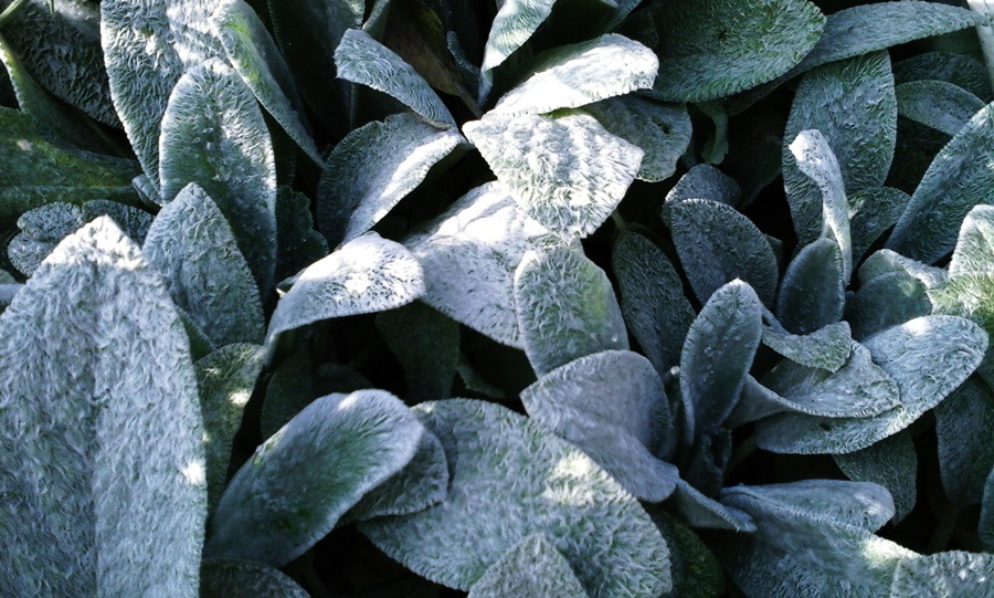 Archillect ID 383411