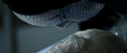 Archillect ID 383428