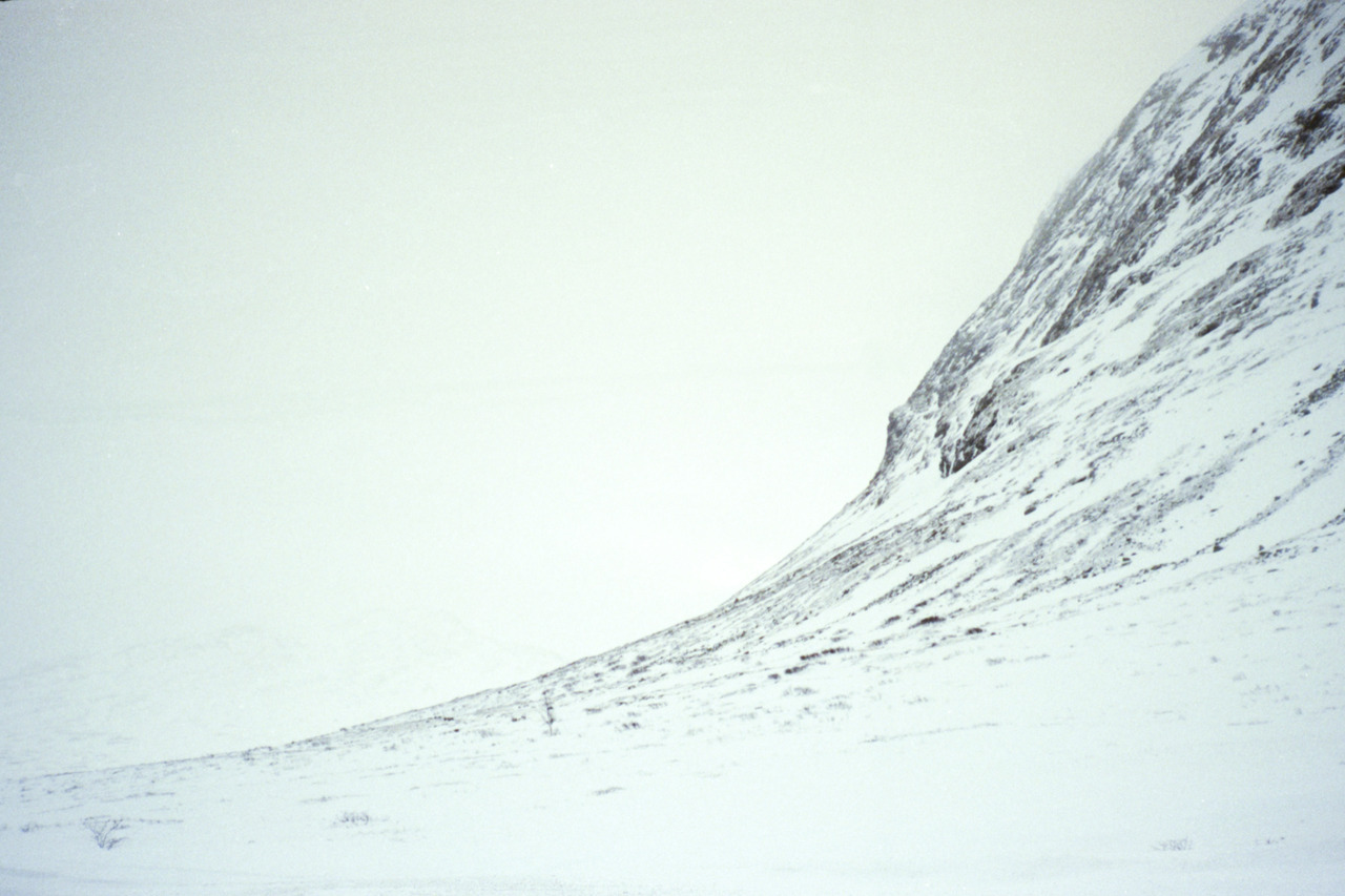 Archillect ID 383444