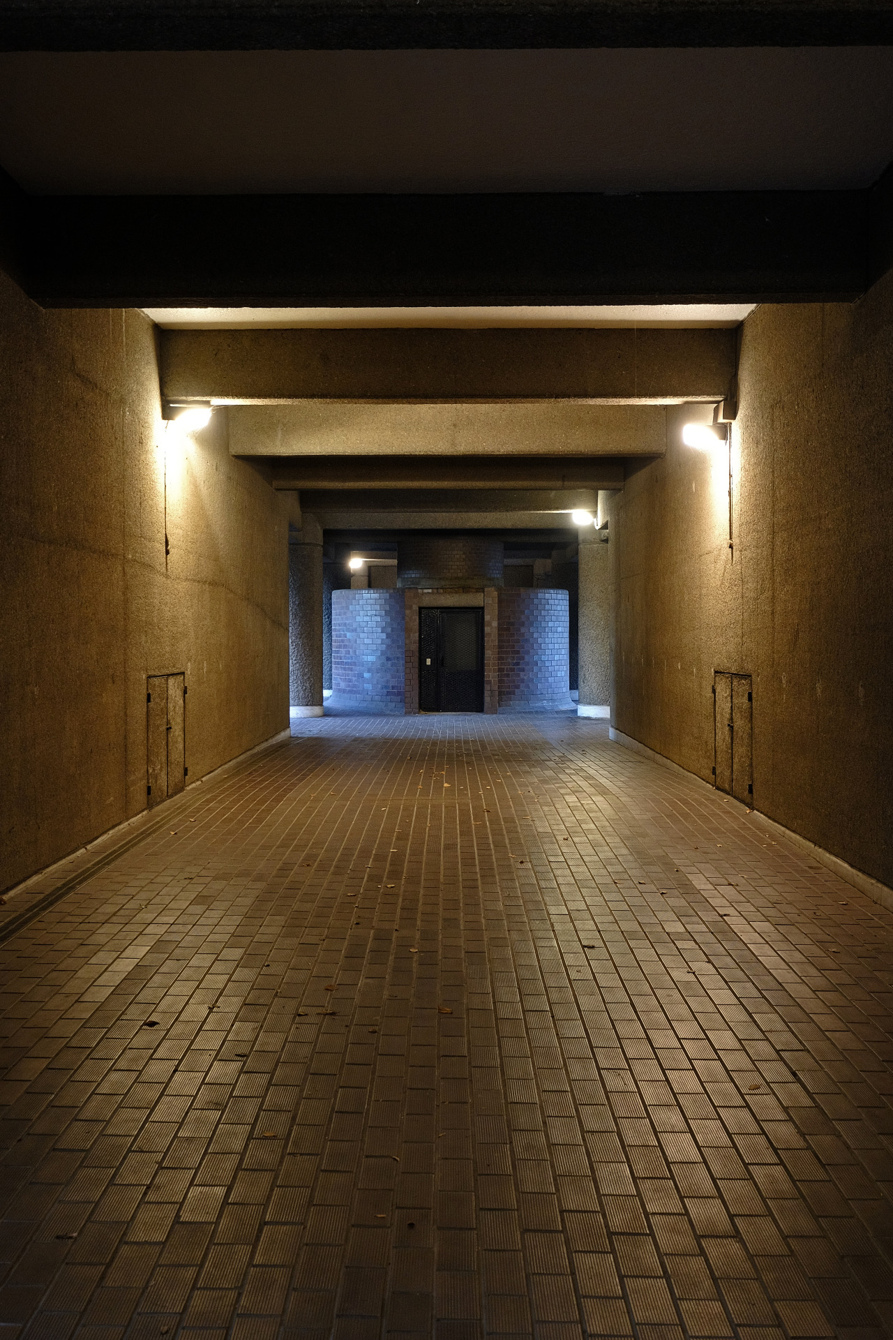 Archillect ID 383449