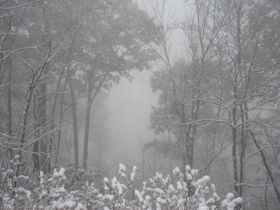 Archillect ID 383453