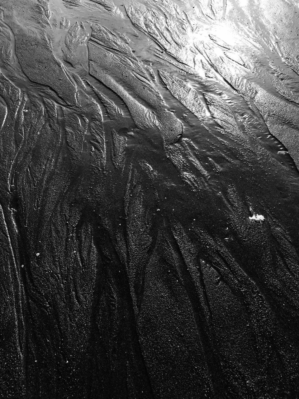 Archillect ID 383459