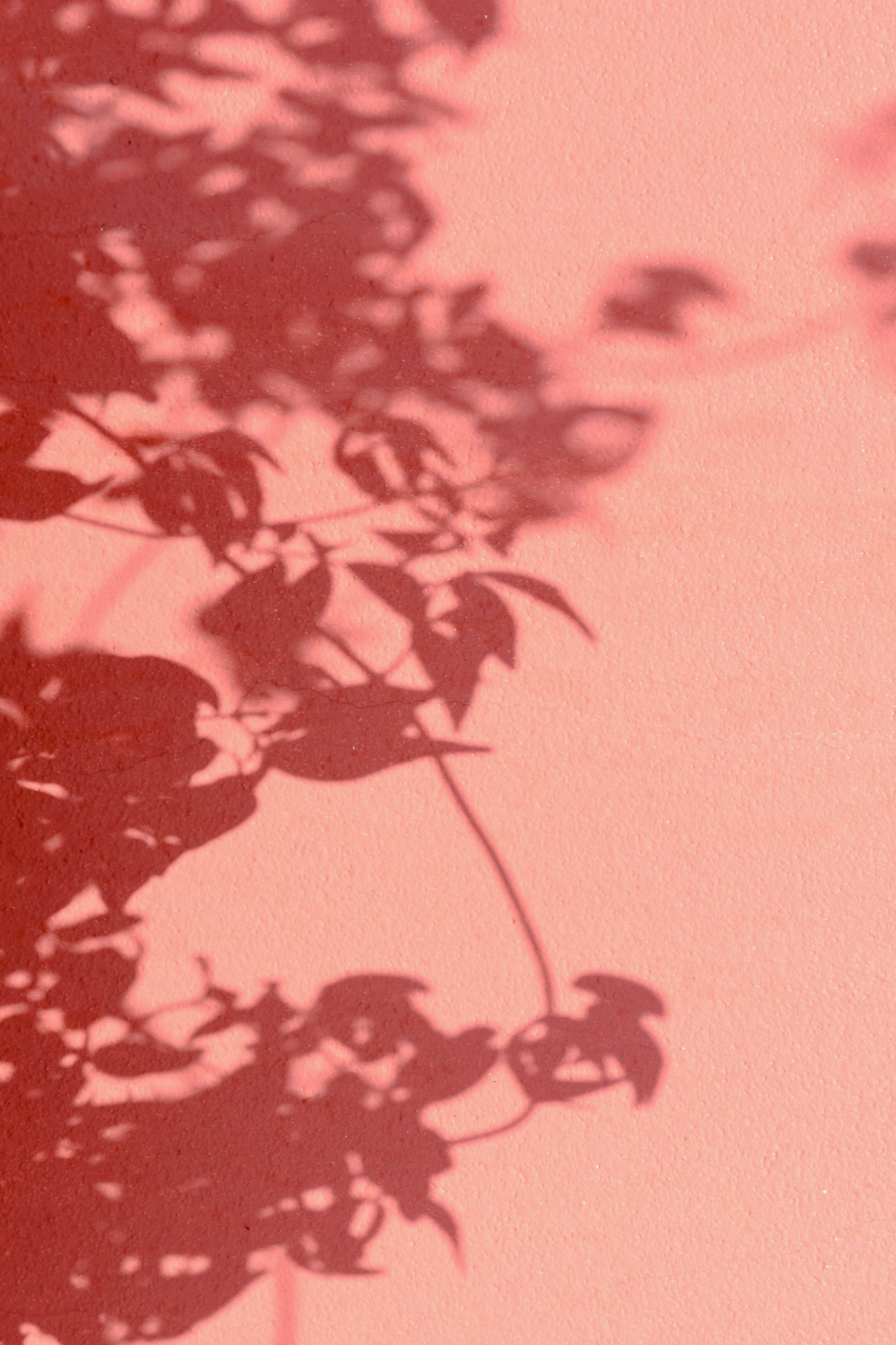 Archillect ID 383479