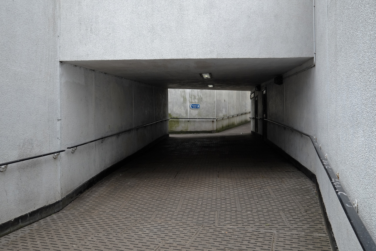 Archillect ID 383529