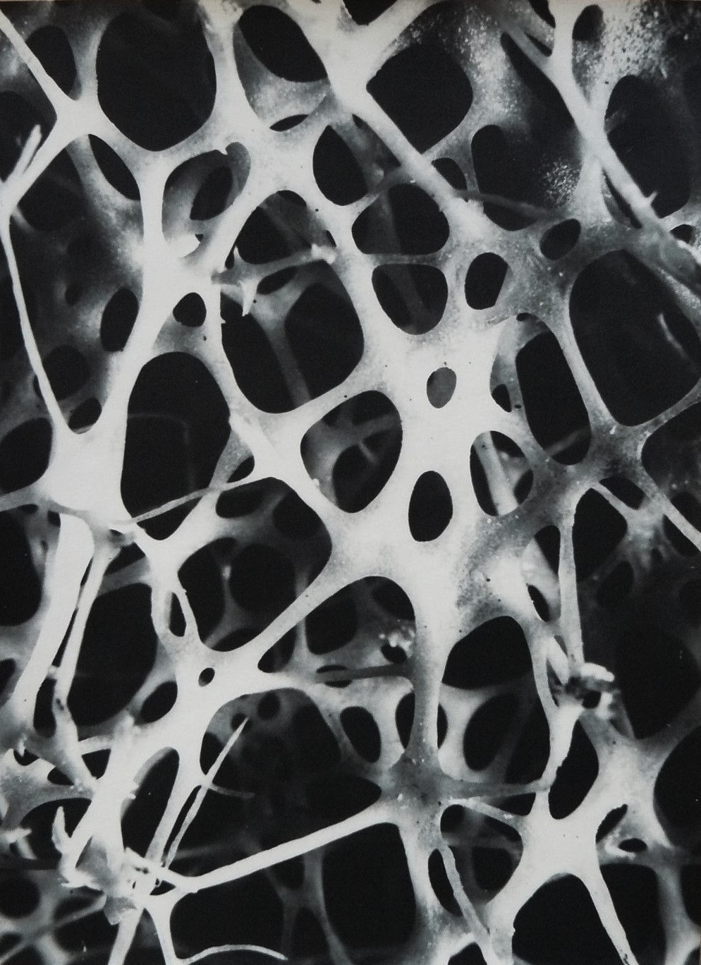 Archillect ID 383582