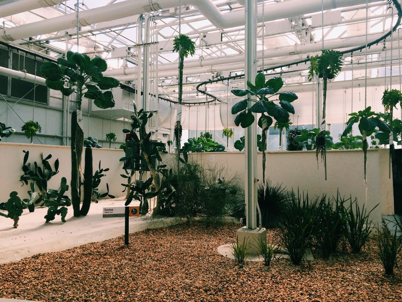 Archillect ID 383599