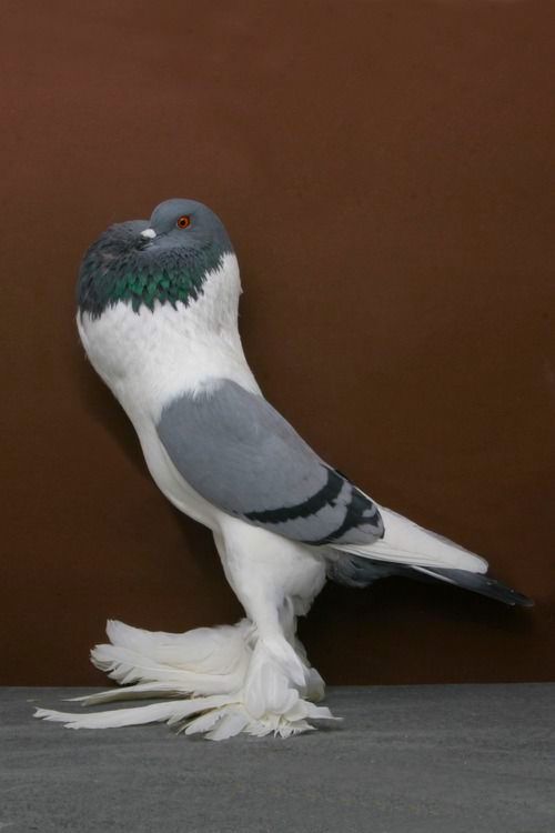 Archillect ID 383689