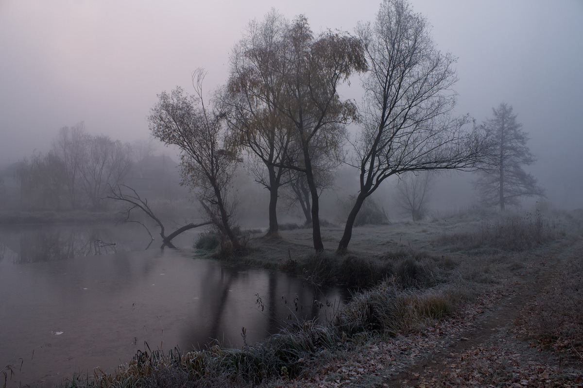 Archillect ID 383705