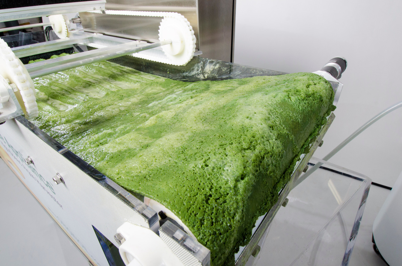 Archillect ID 383826